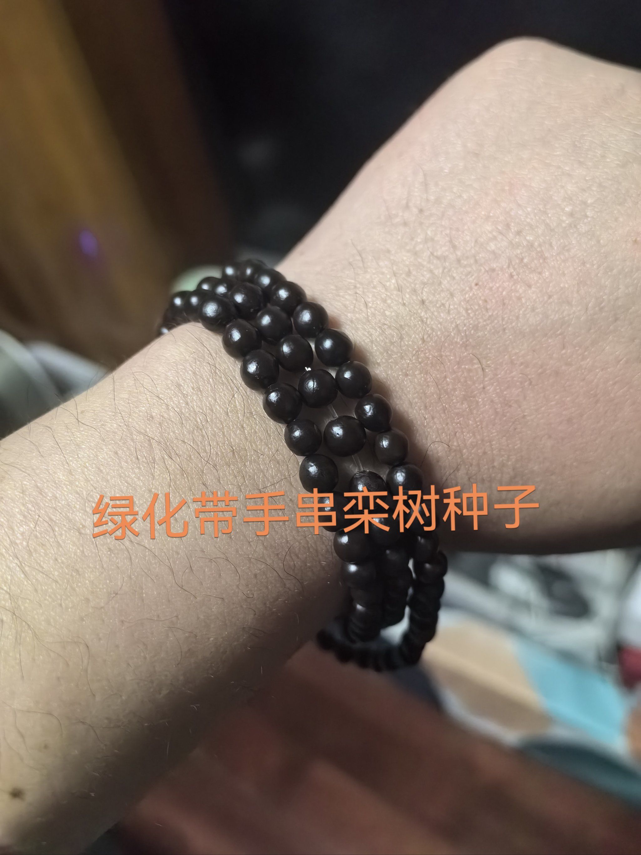 绿化带手串-栾树种子