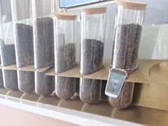 -雾与山茶(大禹城店)