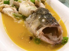 -燕郊烧鸽子(广安路店)
