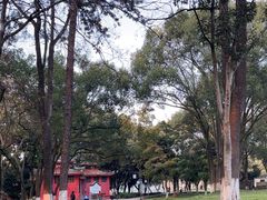 -永安龟山公园