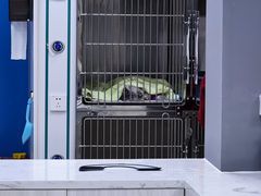 -福州肆爪动物医院