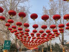 -南宫五洲植物乐园