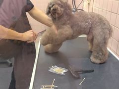 -FAELING PETS美天灵宠物(富力广场店)