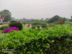 -夏河溪乡野公园