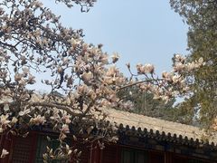 -潭柘寺景区