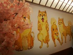 -豆柴町-柴犬主题狗咖(红鼎国际C座店)