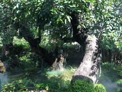 -Chom Cafe and Restaurant