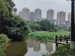 -龙头寺公园