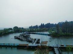 -鄱阳湖国家湿地公园