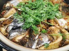 -千岛湖城中湖游船码头