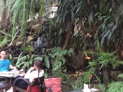 -Fern Forest Cafe