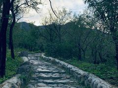 -阳台山自然风景区