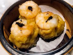 -糖朝(尖沙咀店)