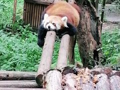 -昆明动物园
