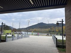 -千年银杏谷文化旅游区