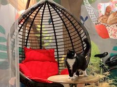 -么么咖啡(燕郊店)