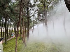 -玉苍山国家森林公园