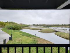 -春花秋色城市公园