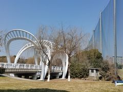 -九里河湿地公园