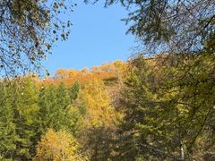 -苏木山森林公园