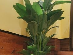 -西贝(六里桥旗舰店)