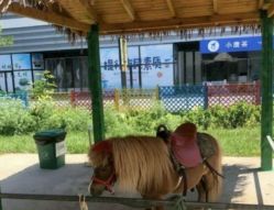 -萌宠亲子动物乐园(槐房万达店)