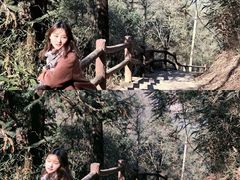 -藏龙百瀑风景区