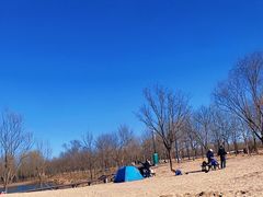-东郊湿地公园