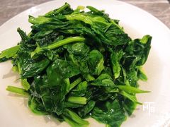 清炒豆苗-鼎泰丰(国贸商城店)