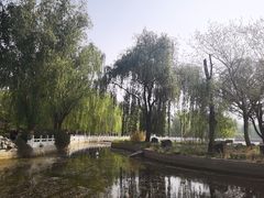 -莲花池公园