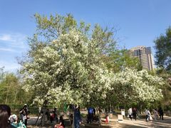 景点-长白岛森林公园