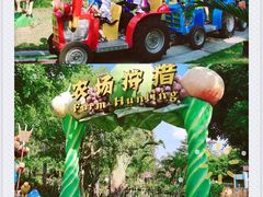 -美的鹭湖森林度假区