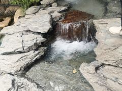 -大鹅岛绿色生态美食园