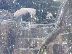 -宁波野生动物园