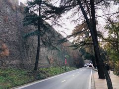-紫金山山顶公园