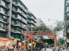 -泡桐树街