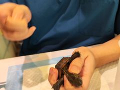 -雨林宠物医院 非犬猫异宠专科
