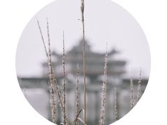 -黎阳老街
