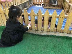 -萌宠亲子动物乐园(槐房万达店)