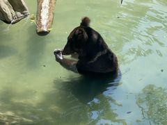 -石家庄市动物园