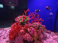 -蓬莱欧乐堡海洋极地世界