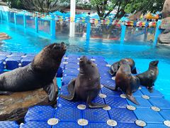 -海合安成都极地海洋公园