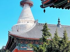 -妙应寺白塔