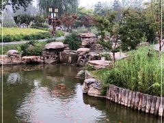 -西海子公园