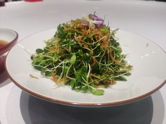 香椿苗巧拌鲍鱼菇丝-百富源·海鲜辽菜(和平北大街店)