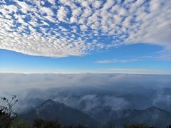 -东天目山风景区