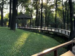 -云溪植物园