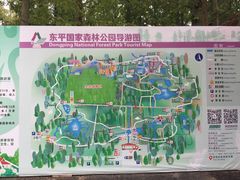 -东平国家森林公园