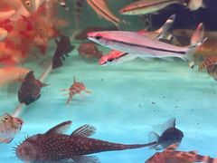 -双季花艺园艺市场(浦东店)