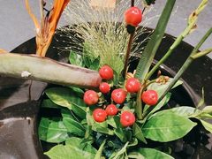 -旺顺阁海鲜广场(亚运村店)